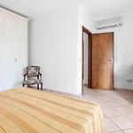 Primula 2 Appartamento